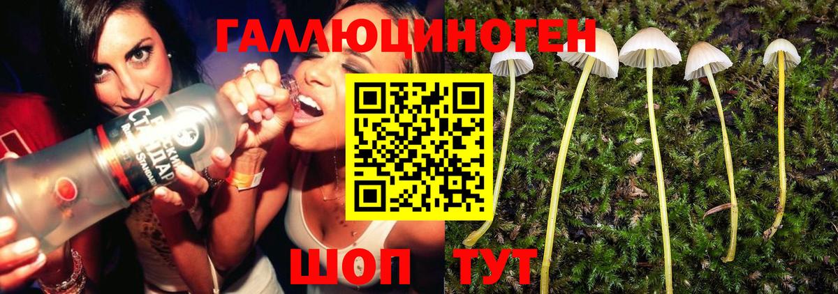 Галлюциногенные грибы MAGIC MUSHROOMS Шелехов