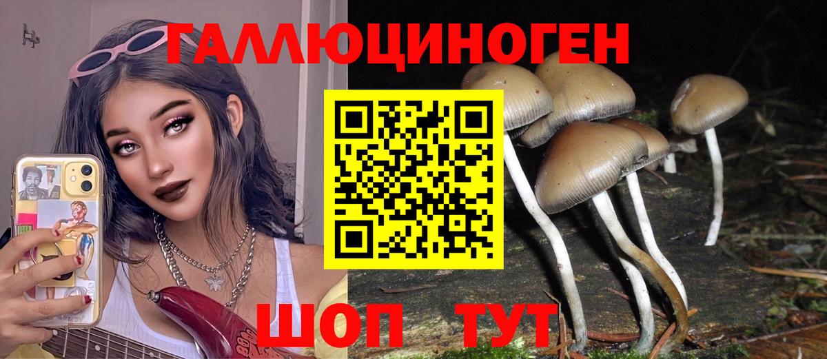 Галлюциногенные грибы Psilocybine cubensis  Вход с VPN  Шелехов 